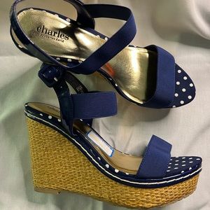 Charles David. Blue platform wedge sandal. Size 10M